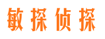 柳北市私家侦探